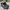 Nike Air Force 1, Black, Size 41 photo 1