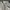 Polo Shirt Burberry Vintage Luxury Authentic photo 3