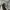 Polo Shirt Burberry Vintage Luxury Authentic photo 7
