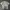 Polo Shirt Burberry Vintage Luxury Authentic photo 2