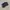 ADIDAS OUTDOOR CLIMACOOL DAROGA SECOND 42  photo 2