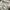 Sweater Moncler Logo Flocked Off White Authentic photo 2