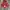 Japanese brand Y2K Hoody Pria multicolor red photo 2