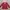 Outer Private Label 