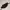 Porter Yoshida Waistbag Tanker photo 1