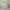 Hoka Stinson ATR 6 photo 1