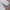 Y2K White Sheer Blazer Korean Mode photo 3