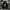Hoddie adidas 3 riemen photo 1