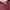  Crocodile International Knit Vest – Maroon photo 3