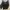 Diane von Furstenberg blouse hitam photo 2