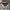 Burberry London Vintage Nova Check Long Shirt photo 8