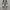 Vans Authentic 44 DX Anaheim Factory Checkerboard photo 3
