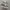Vans Authentic 44 DX Anaheim Factory Checkerboard photo 1
