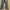 Celana Rawis Cutbray Jeans Highwaist Seksi Celana Jins Wanit photo 3