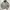 DC Shoes USA Reversible Outdoor Jacket Brown And Grey photo 1