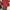 MLB Y2K Sweater Pria Burgundy