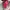 La Senza Remix Push Up Plunge Bra photo 6