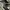 Adidas Casual Sneakers Pria white black photo 5