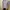 Name : Et Cetera Blue Stripe photo 2