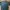 Erigo sweater green photo 1