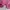 Jacket Spalding Zipper Sherpa Design Geometris photo 5