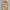 Vintage Minimalist Vest Wanita tan cream photo 3