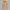 Vintage Minimalist Vest Wanita tan cream photo 2