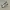 ADIDAS ZX500 BOOST MARATHON RUNNING SECOND 42  photo 2