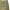 avirex military trousers photo 4