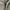 avirex military trousers photo 5