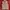 Jacket Vest Militery Japan Brand photo 1