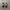 VANS Casual Casual shoe Pria white black photo 2