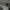 Celana Cargo Field Core photo 5