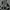 Celana Cargo Field Core photo 1