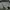 Celana Cargo Field Core photo 4