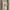 KAOS VINTAGE ARTS CARIBBEAN ISLANDS photo 1