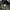 Japanese brand Streetwear Y2K Hat Pria tan black photo 2