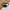 The North Face Terra Lumbar  photo 1