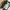 The North Face Terra Lumbar  photo 7