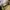 The North Face Terra Lumbar  photo 8