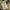 The North Face Terra Lumbar  photo 6