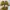 Prelove running shoes sepatu nike pegasus turbo next nature  photo 6