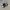 ADIDAS SUPERSTAR EAST RIVER RIVALRY BLACK WHITE SECOND 42.5