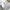 T'Shirt Classic Luxury Brand Mens And female photo 7