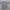 KAOS POKEMON GO FEST 2019 ORIGINAL 100%