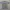 KAOS POKEMON GO FEST 2019 ORIGINAL 100%