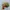 Jill Stuart Streetwear Skater Hat Pria multicolor green photo 3