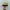 Jill Stuart Streetwear Skater Hat Pria Multicolor Green