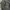 Sweatshirt crew neck champion reverse weave script charcoal  photo 6