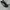 Nike Air Zoom Pegasus 38 photo 3